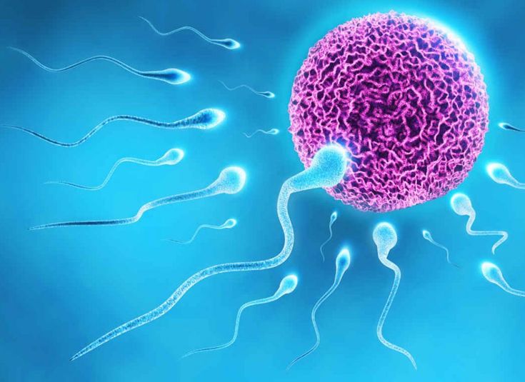 Infertility treatment in Pune