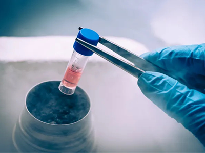 Embryo Freezing Treatment