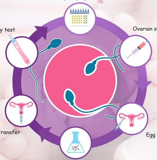 best ivf center in pune
