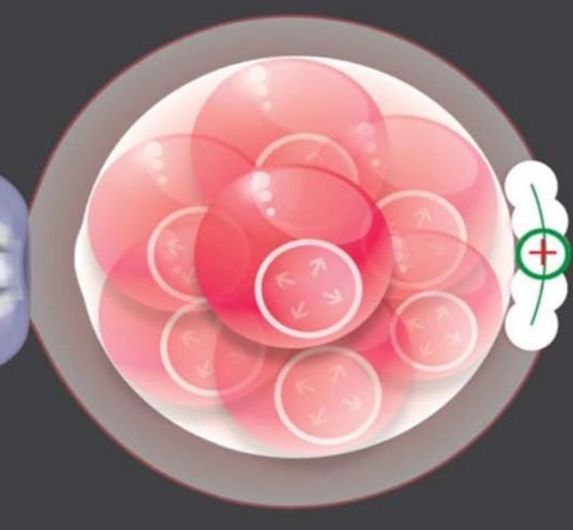 best ivf center in pune