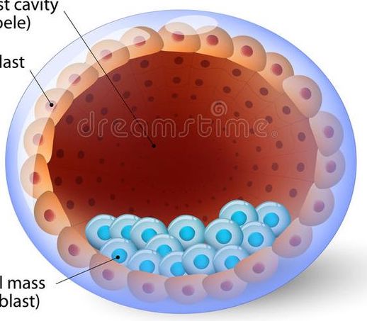 best ivf center in pune