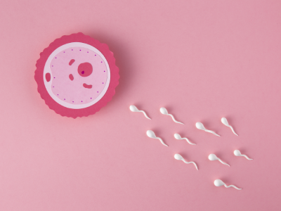 Treatments for Low Sperm Count