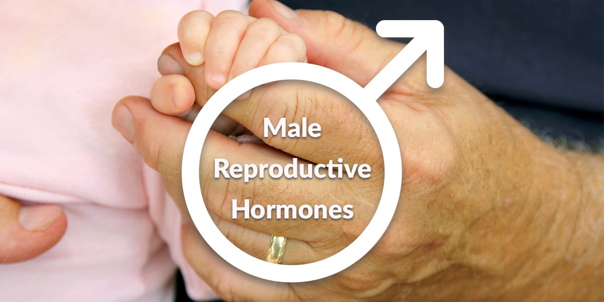 IVF specialist in Pune