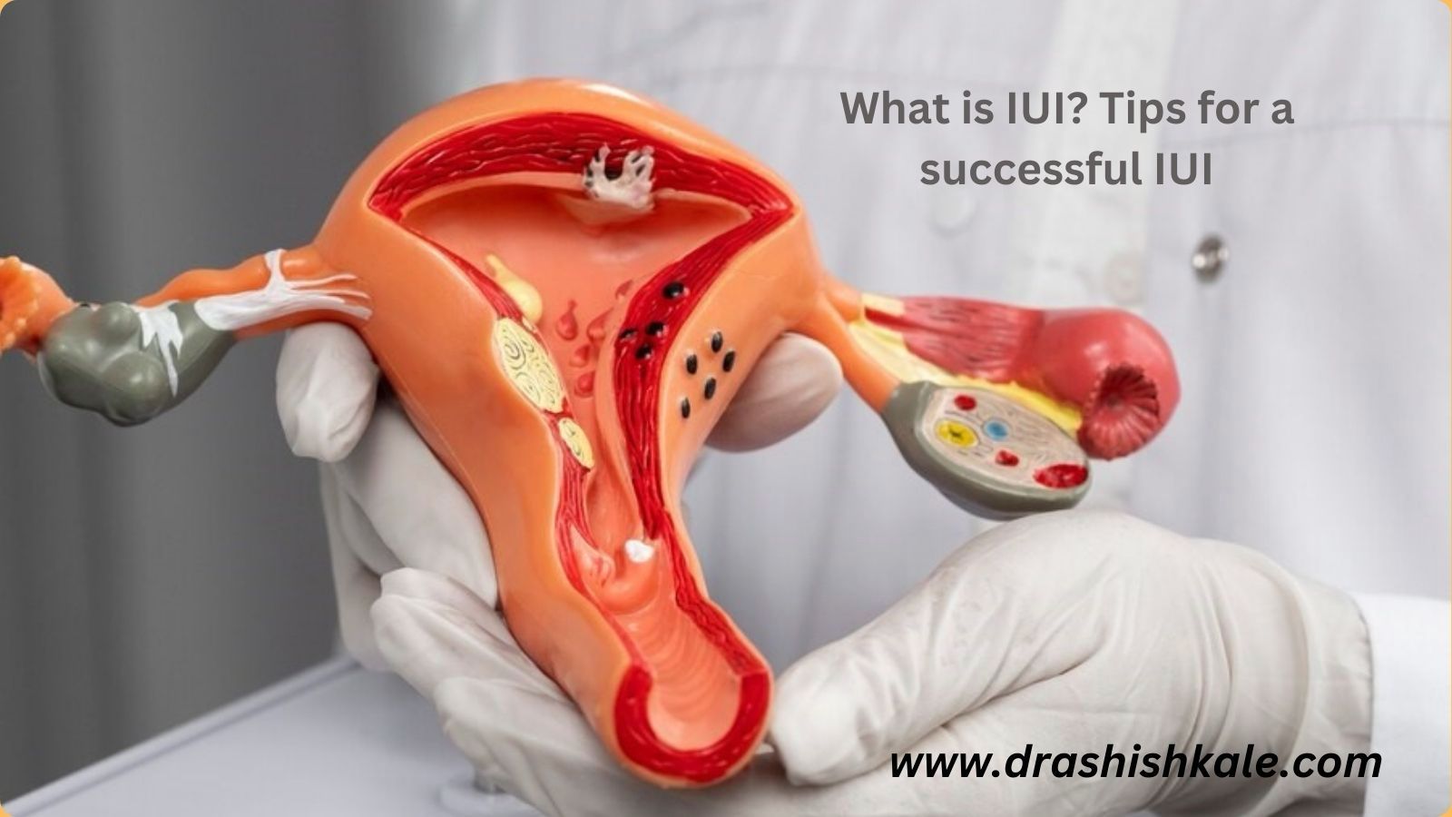 IVF specialist in Pune